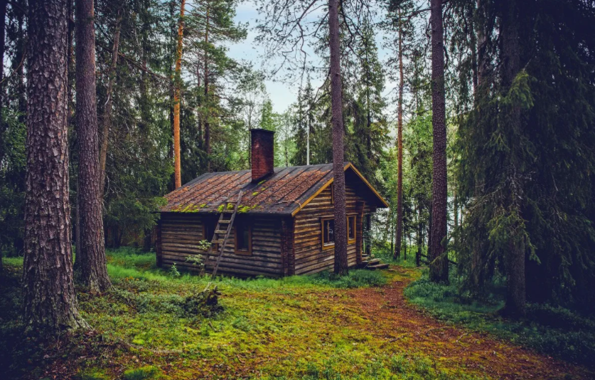 фото для иллюстрации с сайта https://yandex.ru/images