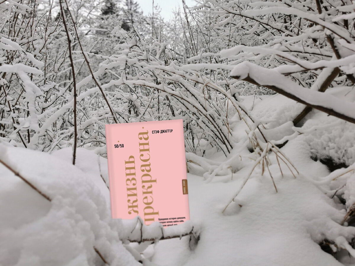 Книга о погоне за зимой и своей сутью. 