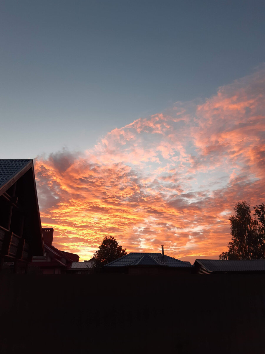 вот такая у нас красота вечером