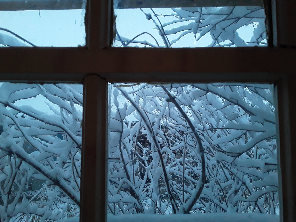 вид из окна автора