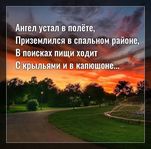 Фото с просторов интернета