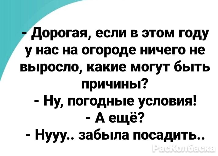 Вот будет лето, поеду на дачу… Анекдоты про дачников и их развлечения