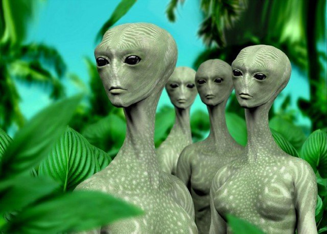 из открытых источников