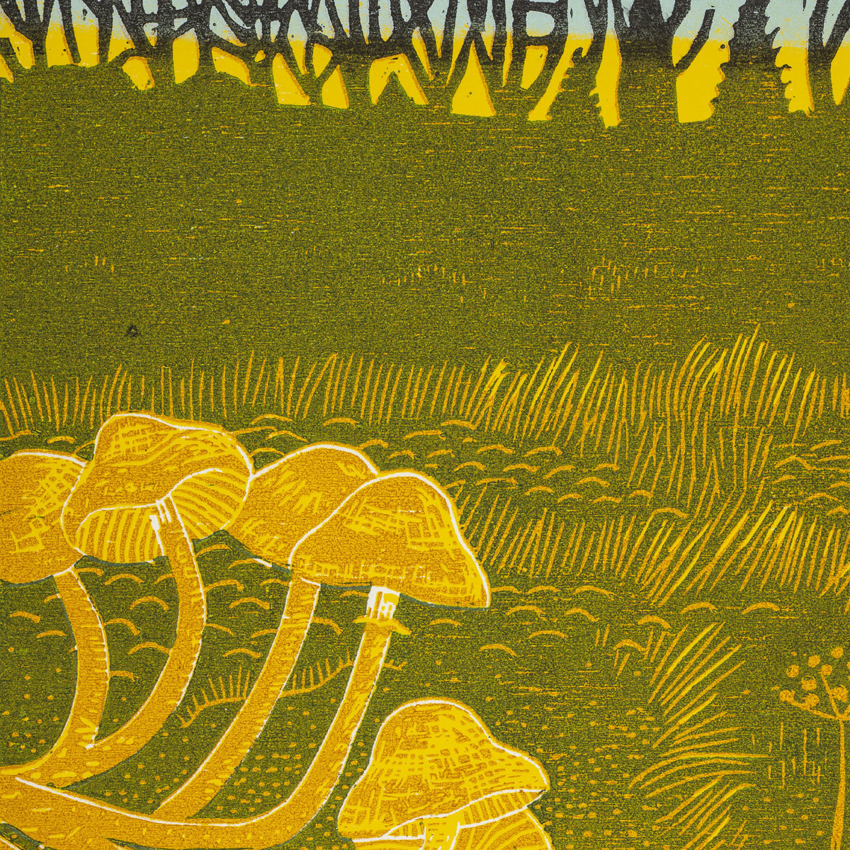 обложка альбома Rural Tapes "Rural Tapes" 