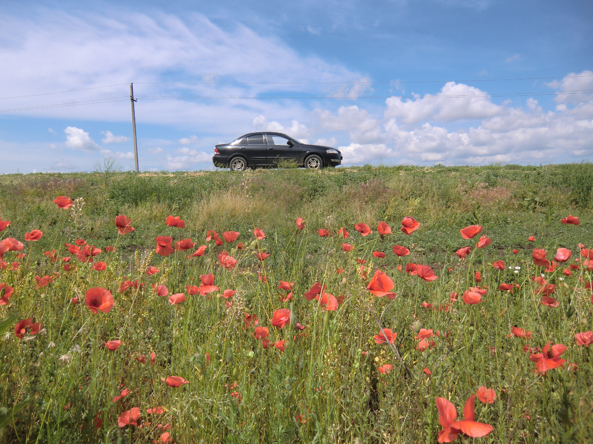 Машина это не только комфортное личное пространство, но и возможность удобно добраться в красивые места.