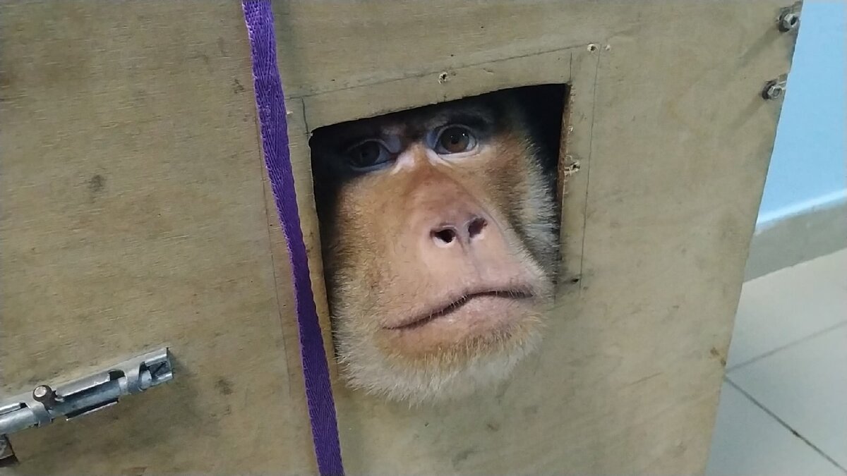 Фото Автор. В цирке за кулисами