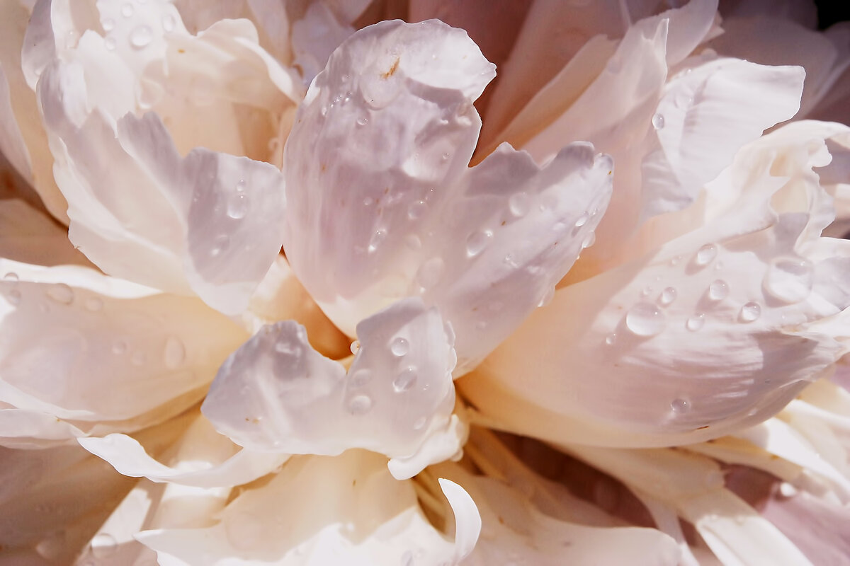 Фото: unsplash.com