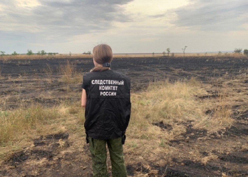     В результате падения были повреждены линии электропередач. Фото: СК по Ростовской области.