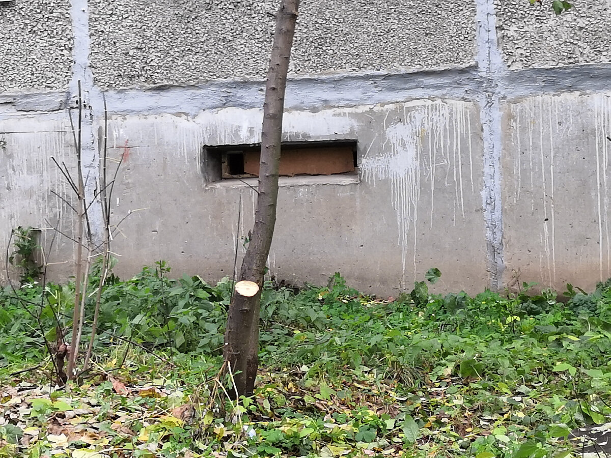 Подвал закрыли, но котолаз оставили. 