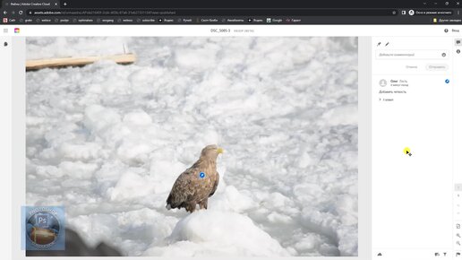 Как выслать и проверить свою работу, выполненную в фотошопе 2023, своему заказчику или коллеге, получить замечания и быстро их исправить