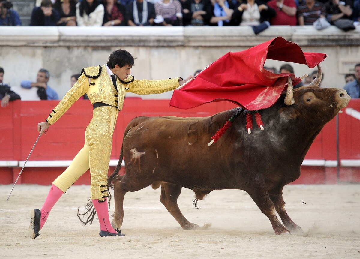 Розовые гольфы?!