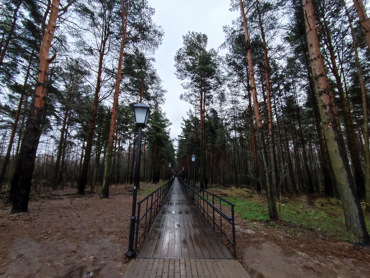 Отрадное – небольшой городок Ленинградской области | Походы, путешествия,  прогулки | Дзен