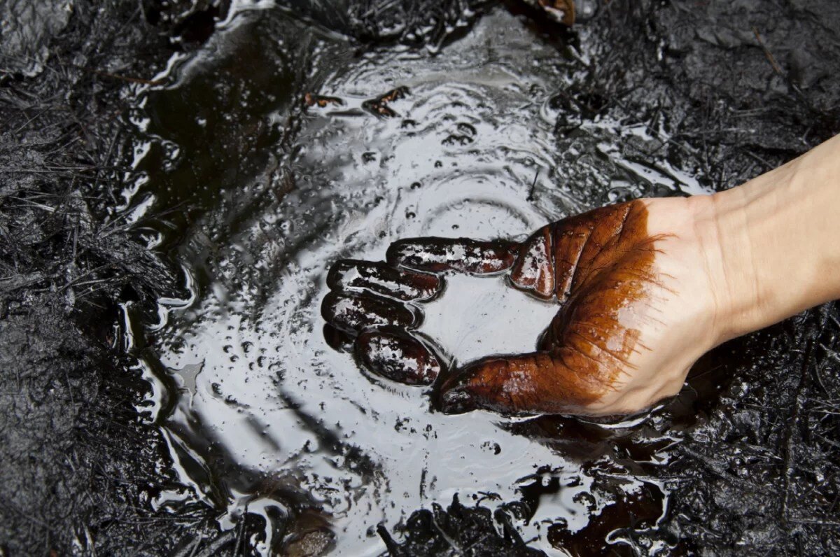    Нефть Золотова Анастасия