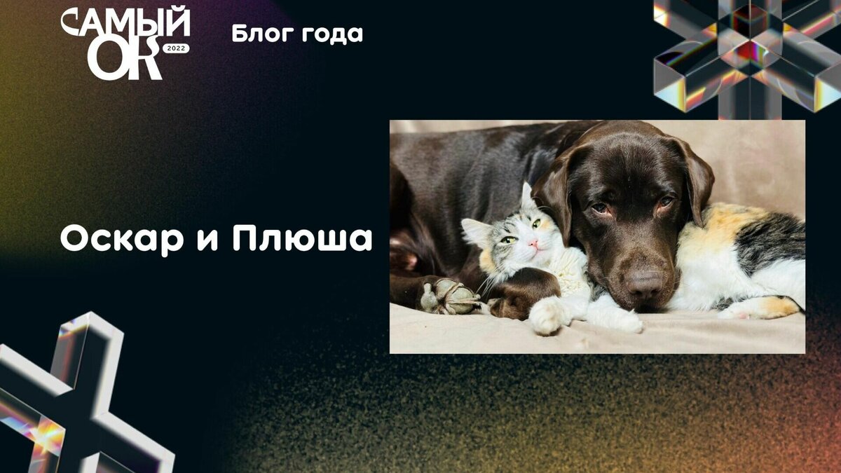     Одноклассники уже в пятый раз проводят онлайн-премию.
