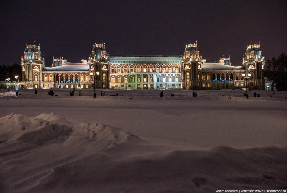 царицыно зимой в москве