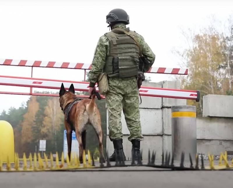 Пограничники. Пограничники на границе с Белоруссией. Пограничник на границе. Украинская граница.