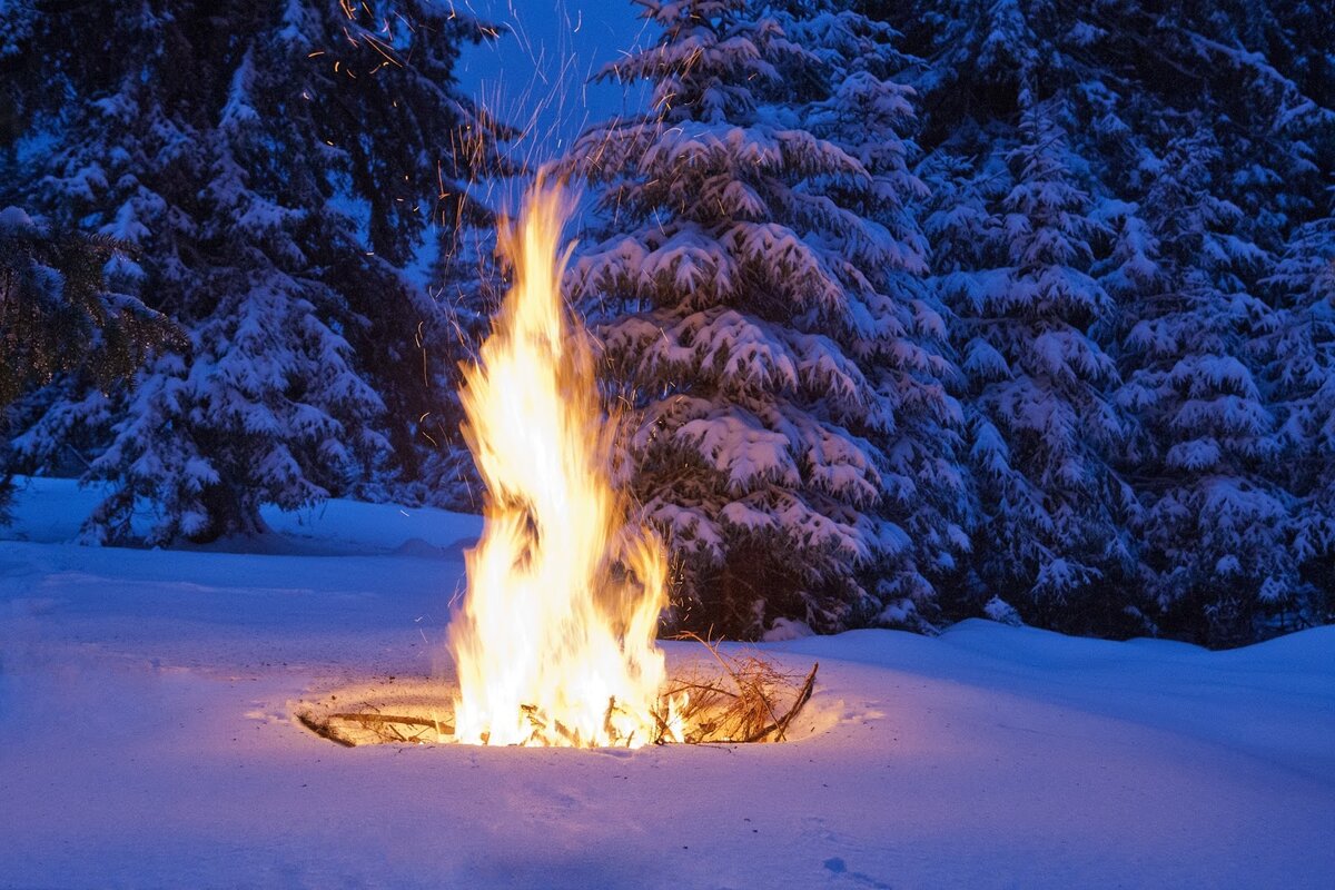 фото из интернета