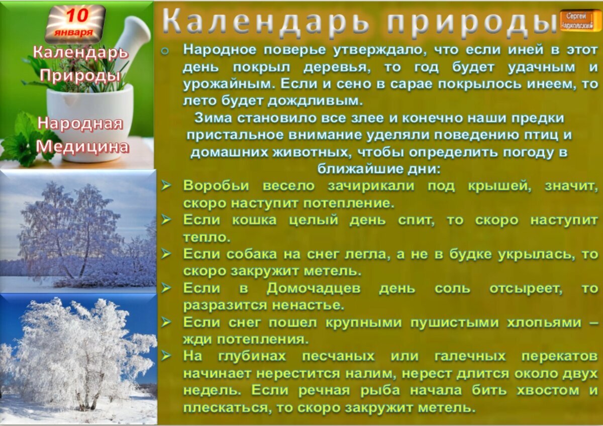 10 января - Традиции, приметы, обычаи и ритуалы дня. Все праздники дня во  всех календарях | Сергей Чарковский Все праздники | Дзен