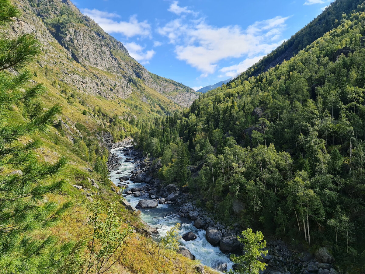 Красная гора Алтай мульта