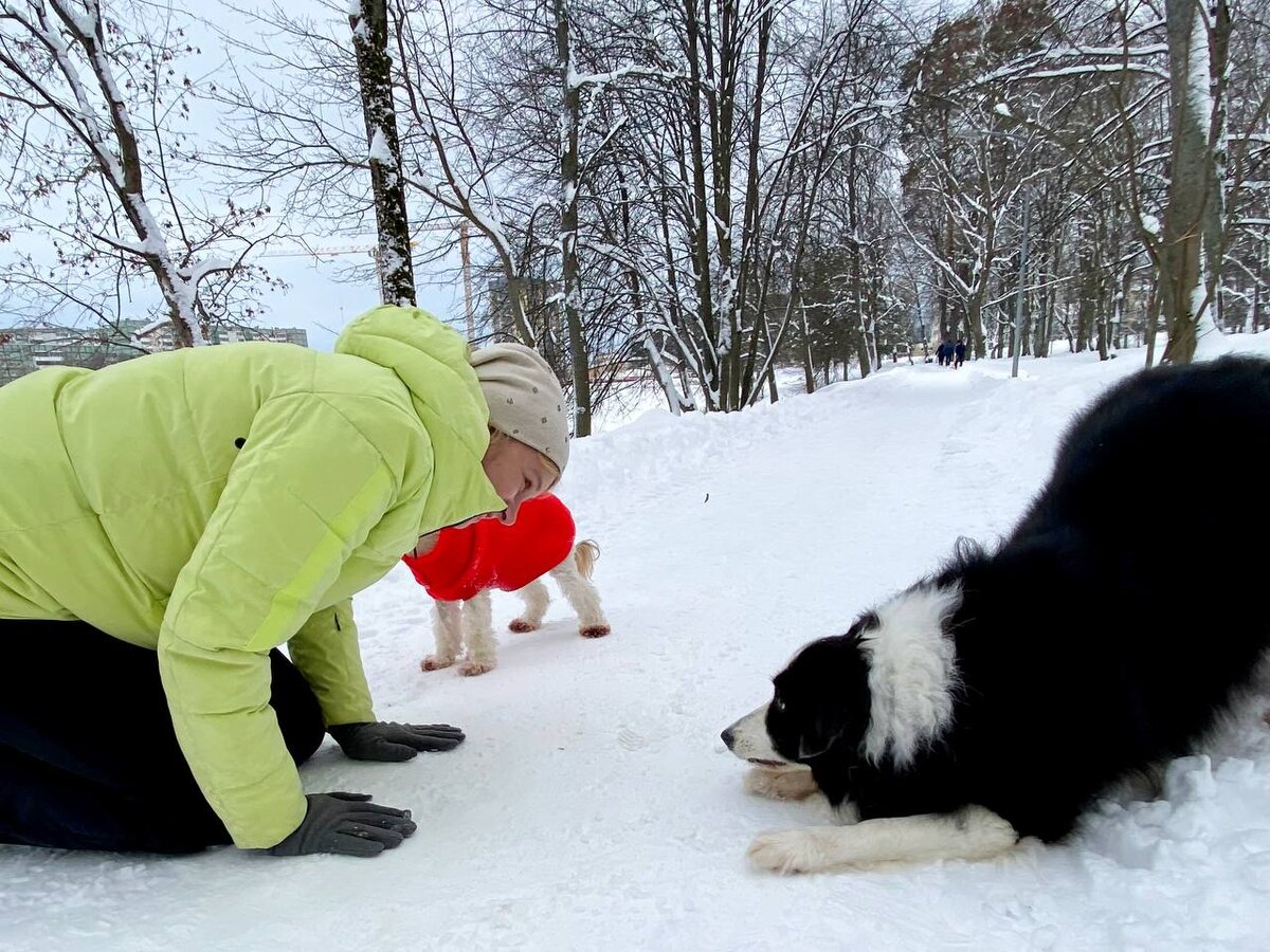 Мы с тобой одной крови)