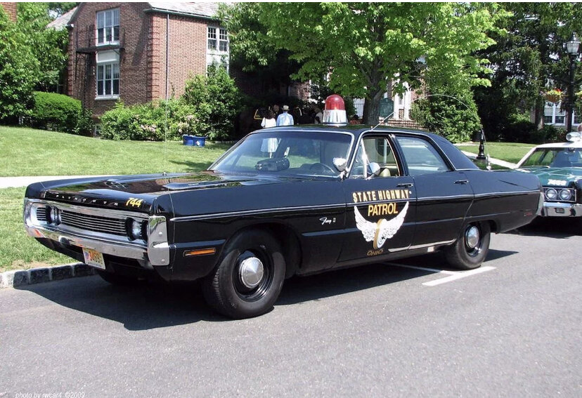 Вот такие красавцы патрулировали улицы