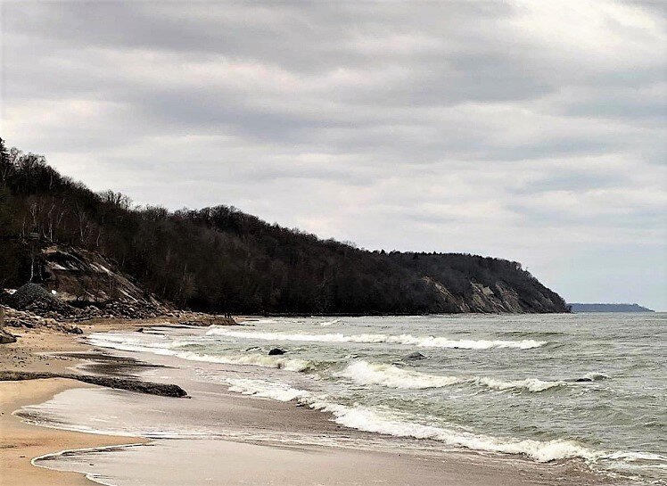 Россия. Калининградская область. Отрадное. | __your__way__ | Дзен