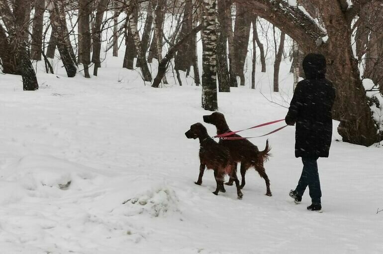  Игорь Самохвалов/ПГ