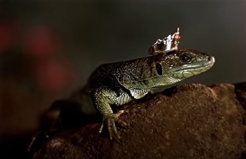 Кадр из фильма "Каменный цветок" (1946)