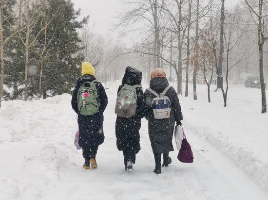     Свободное посещение сохраняется до 25 января в школах Хабаровска / Ольга Григорьева