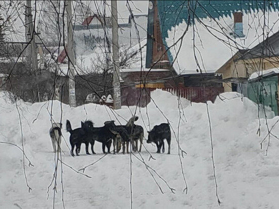     Фото предоставлено Татьяной Горсайту