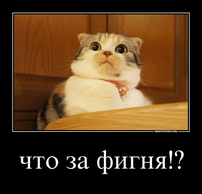 не привязывайся к людям цитаты. еда для кошек. книга как нарисовать любую зверушку. высказывания про щедрость. если никому не писать и не навязываться.