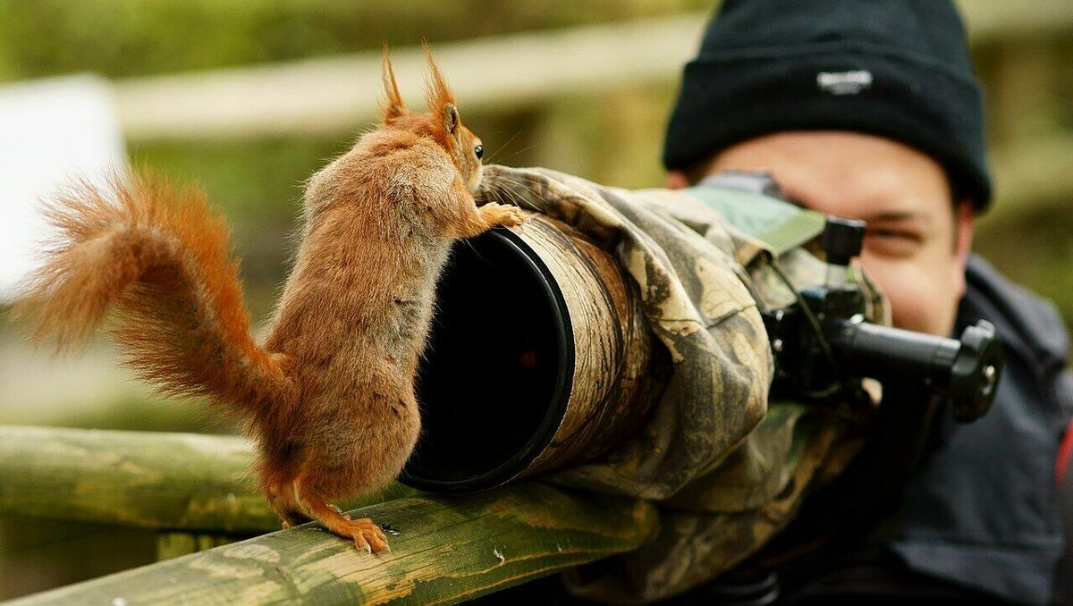     В Ростове уникальных птиц конфисковали у фотографа и передали в зоопарк, рассказали в региональном управлении Росприроднадзора.