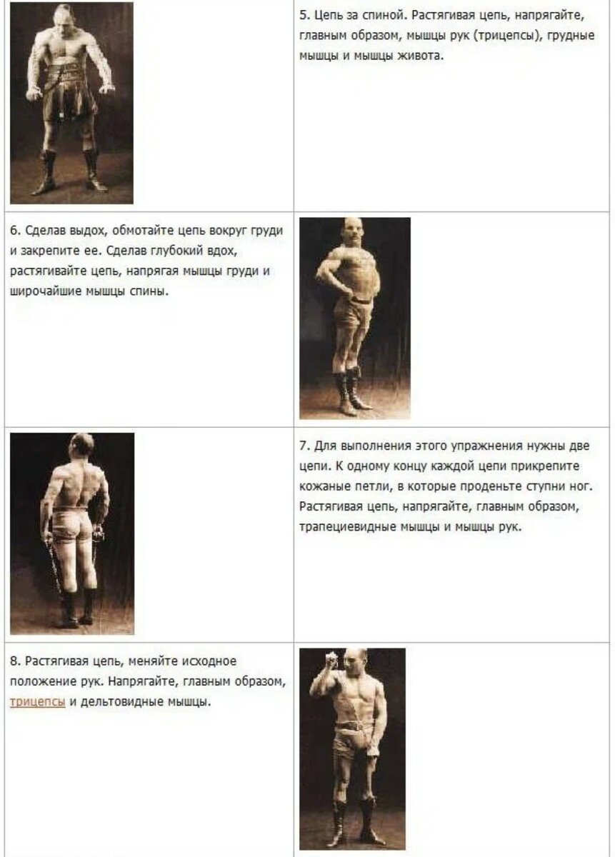 Система заса. Система упражнений засса упражнения схема. Система заса. Сухожильные упражнения засса железного самсона. Система упражнений засса упражнения схема.