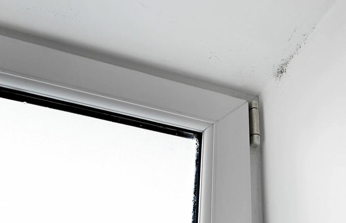 Добавьте описание