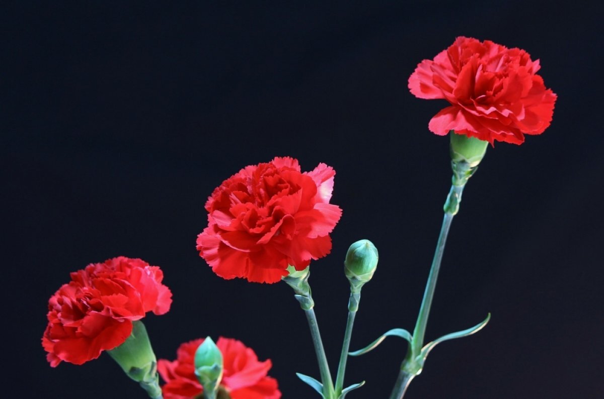    9 февраля в Ижевске простятся с известным режиссёром Александром Блиновым