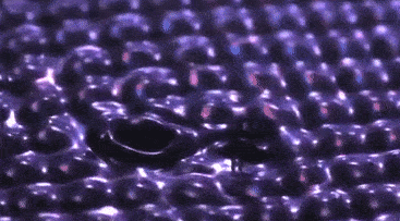   Valeri Frumkin et al. / Physical Review Letters, 2023