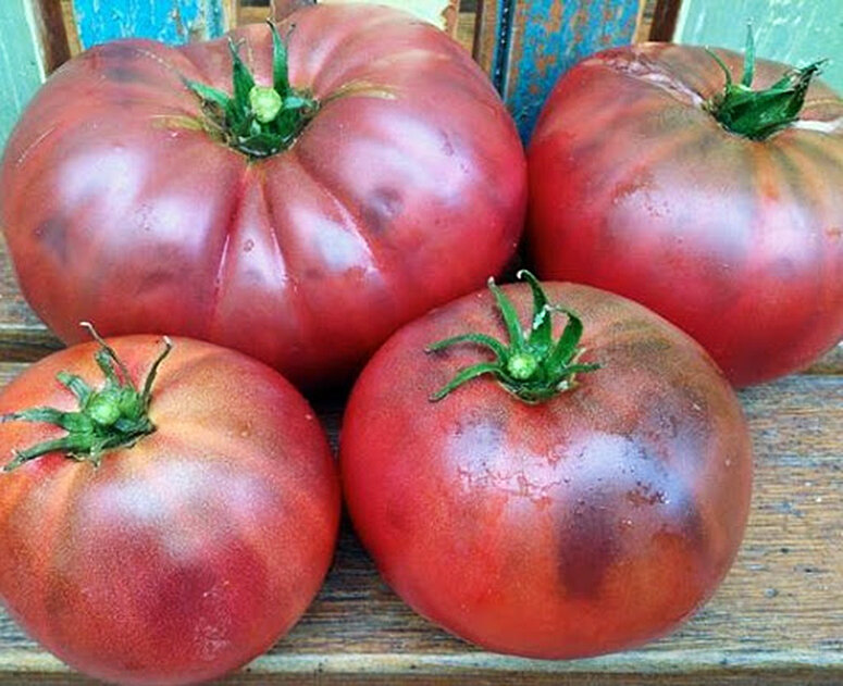 https://seemnemaailm.com/image/catalog/2020/08/exclusive-tomatos/dwarf-crimson-sockeye.jpg