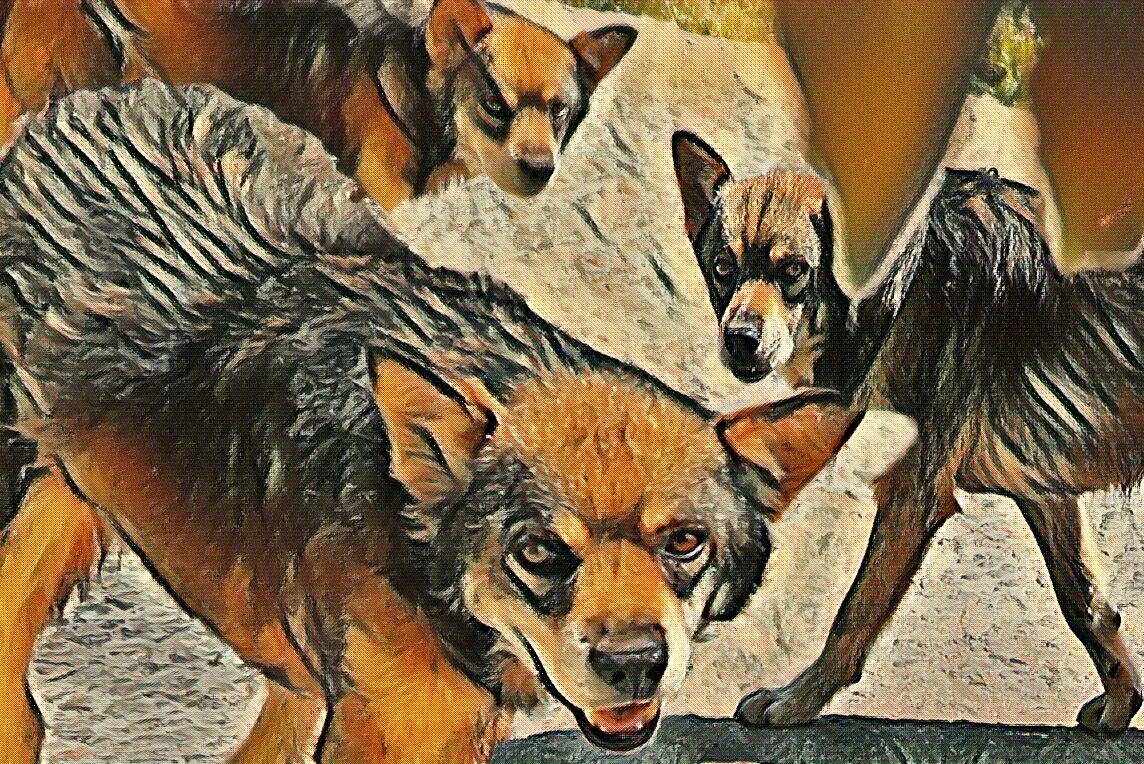 Взято из картинок Яндекса.