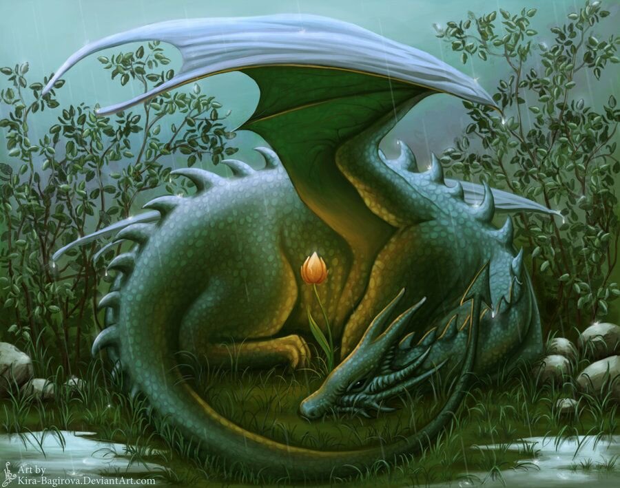 Фото из свободного доступа сети интернет.