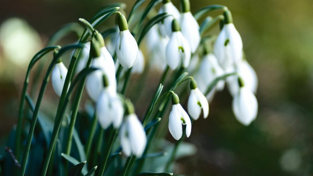     По информации хакасского гидрометцентра, в марте среднемесячная температура воздуха ожидается -5 градусов, а месячное количество осадков составит около 2-4 миллиметров. Месяц будет сухим и прохладным.