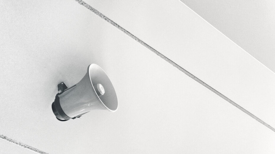    Автор фото: pxhere.com