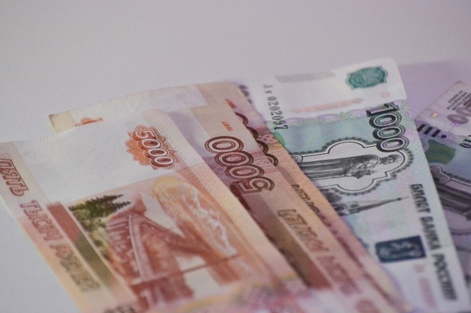     Женщине пришлось выплатить все долги, когда она решила продать земельный участок. Даниил ОПАРИН