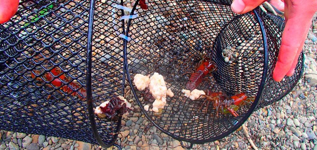 Фото с сайта: https://molkom-kazan.ru