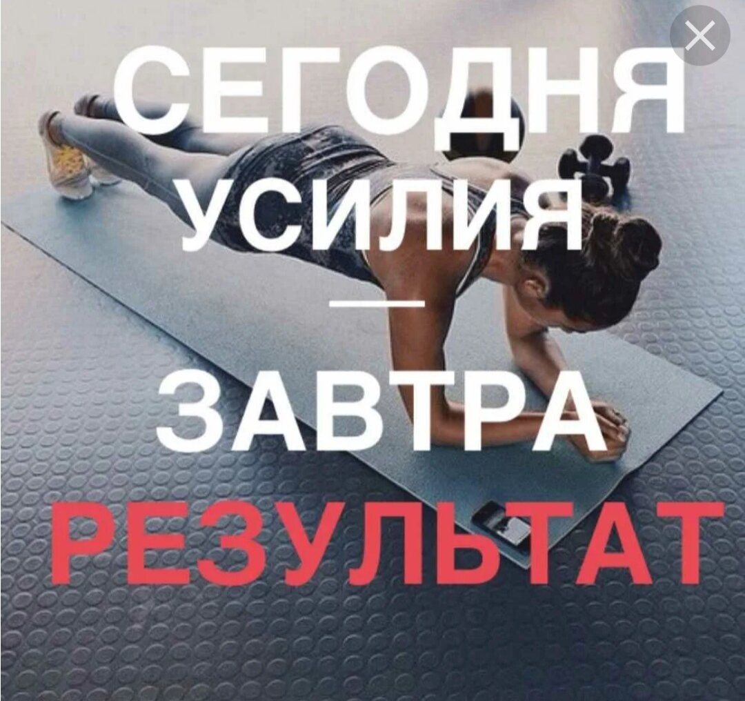 Фото из открытого доступа. 