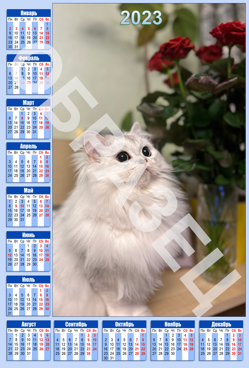 Календарик в вашей кошкой или котом