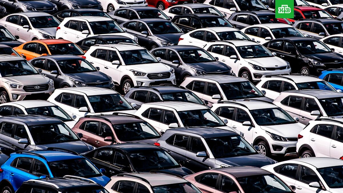    Фото: РИА Новости © 2023, Алексей Даничев