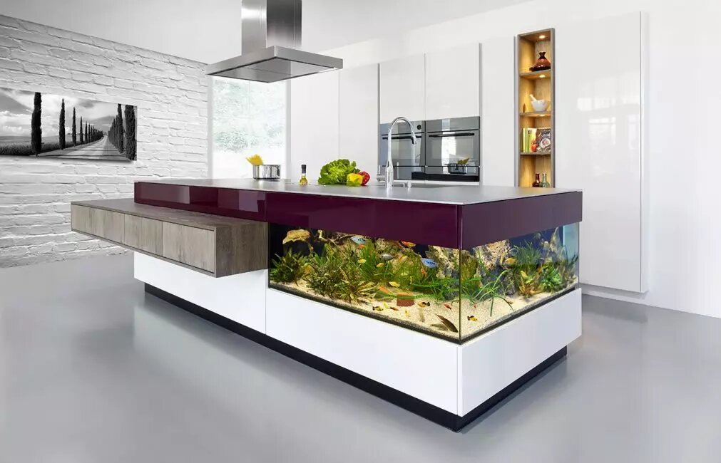 https://modernplace.ru/akvarium-dlya-kvartiry
