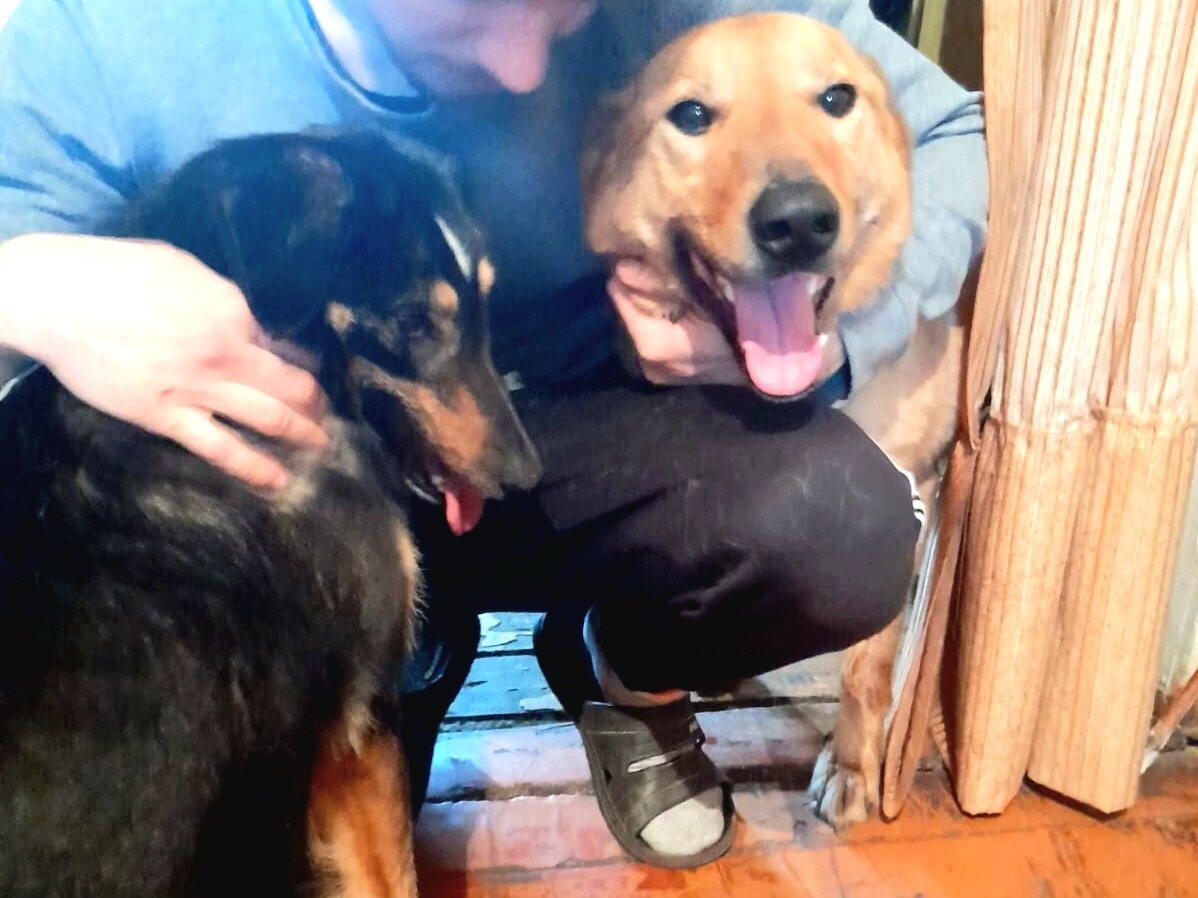 Помогите оплатить их шанс на нормальную жизнь!