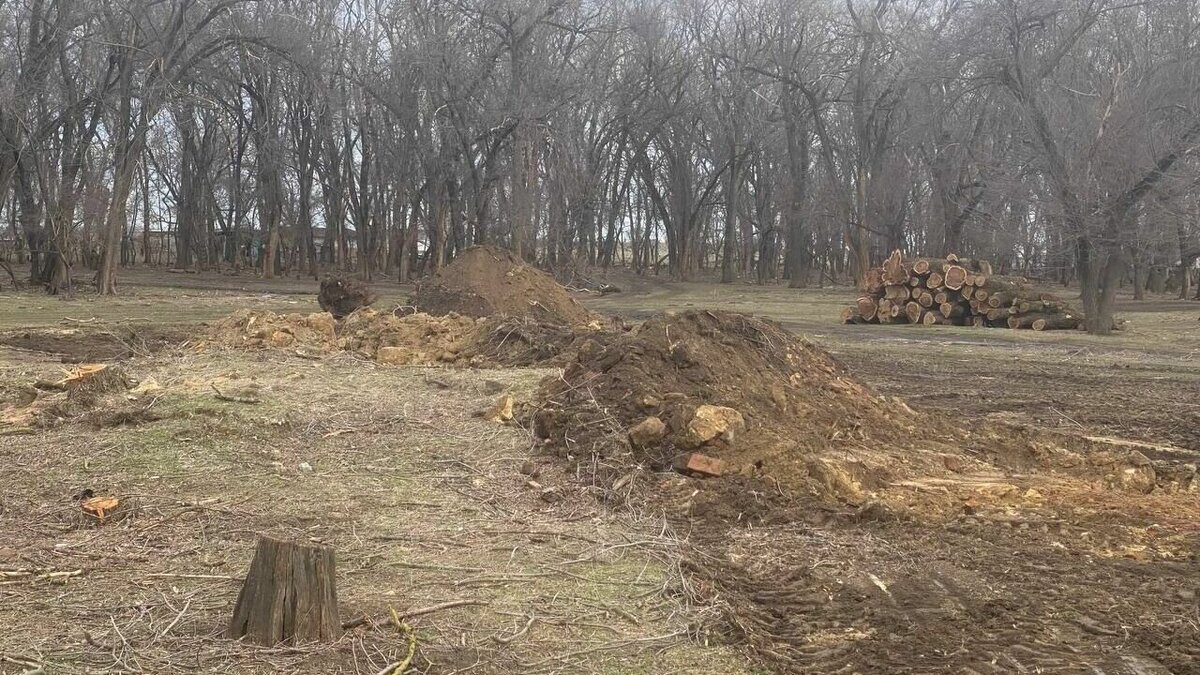     В поселке Встречный Новоалександровского городского округа идет строительство фельдшерско-акушерского пункта. Объект возводится в рамках народной программы «Единой России» и программы «Модернизация первичного звена здравоохранения».