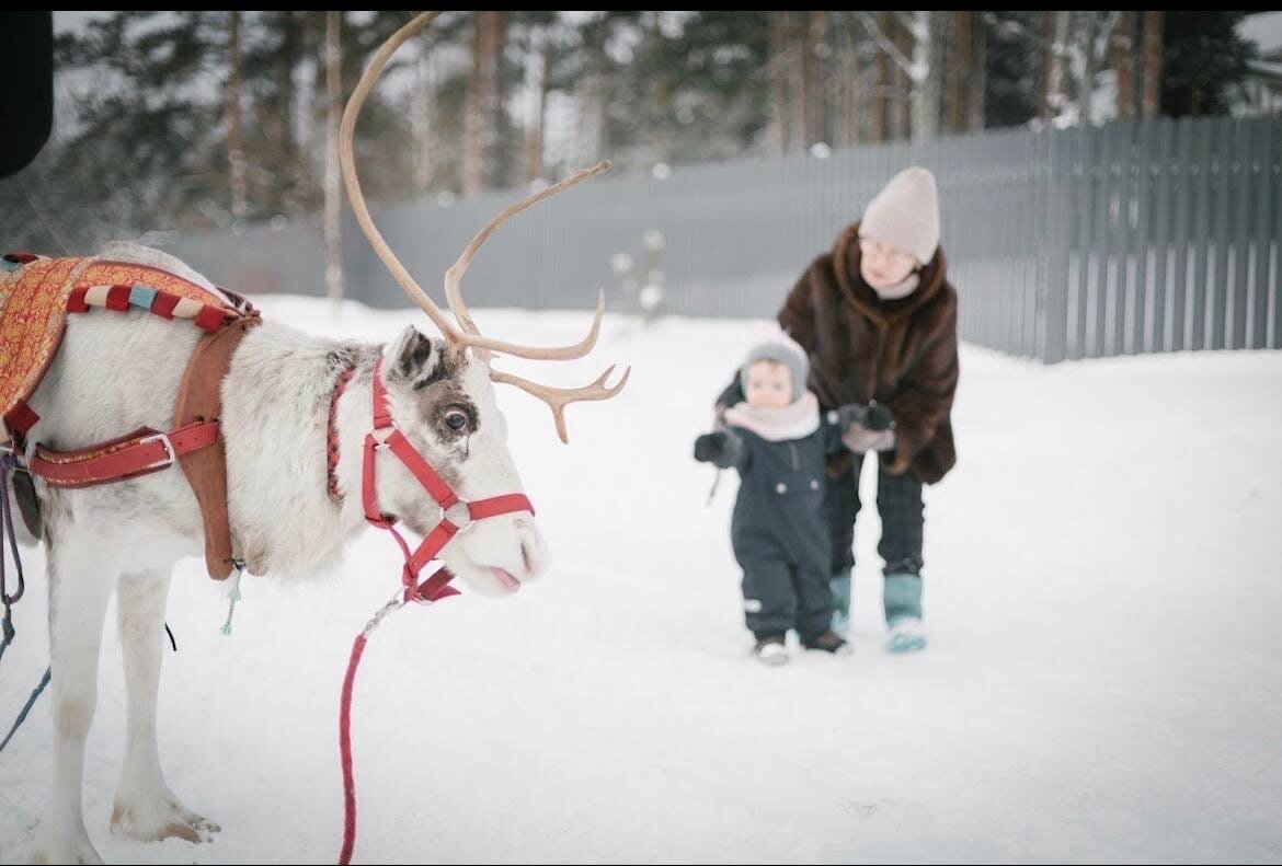 Новый год в "Zapolie Village"